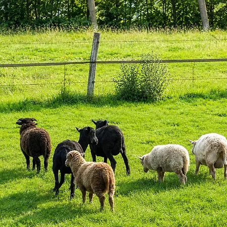 De Polderhoeve