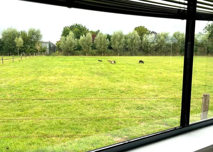 Chalet De Polderhoeve *